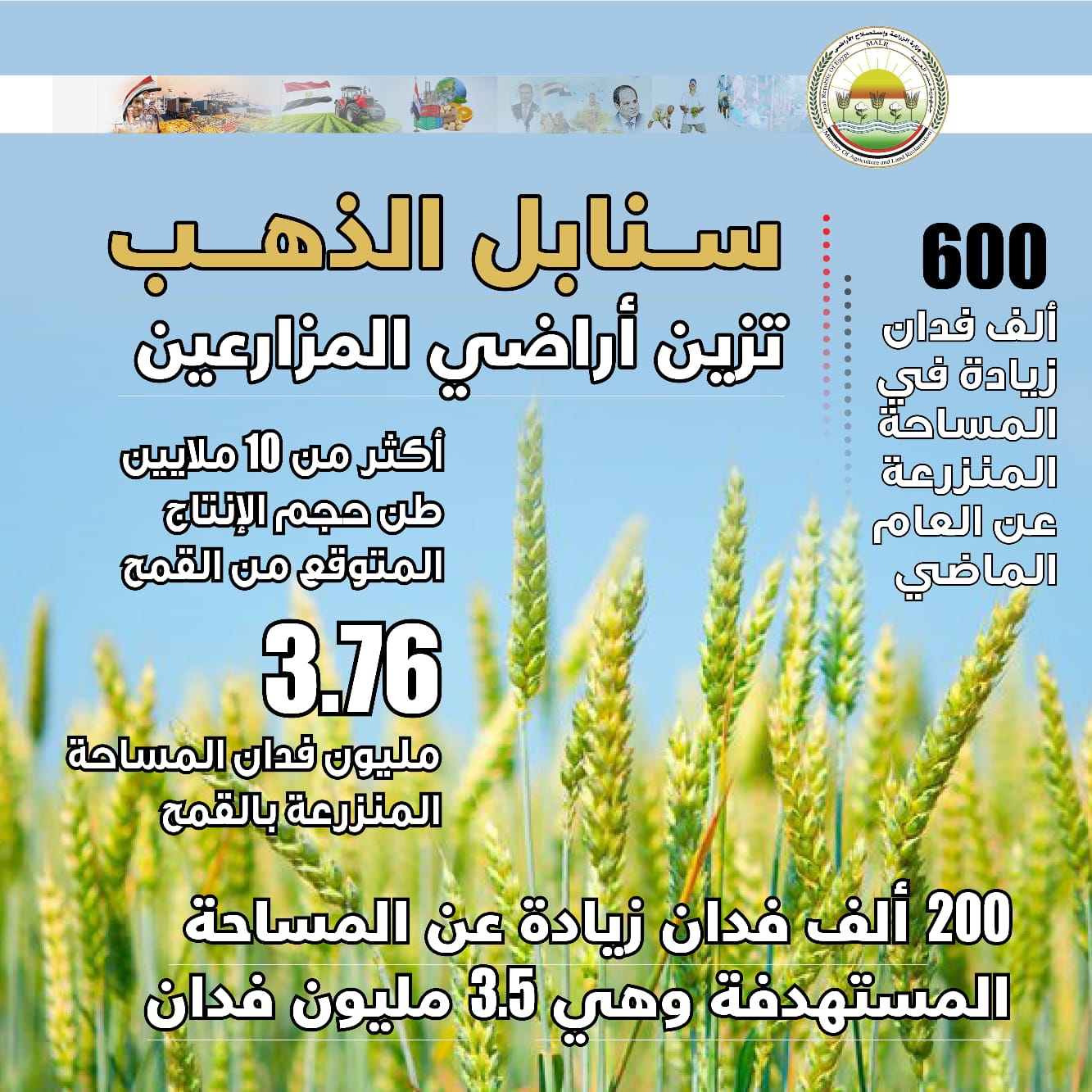 الزراعة تعلن تجاوز المستهدف من المساحات المنزرعة بالقمح خلال الموسم الحالي
