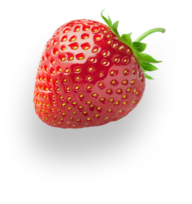 «Nylex Foods» تستهدف التوسع فى تصدير العيش البلدي المجمد خلال 2026 3 Slider 2 h1 slide2 layer2 Copy
