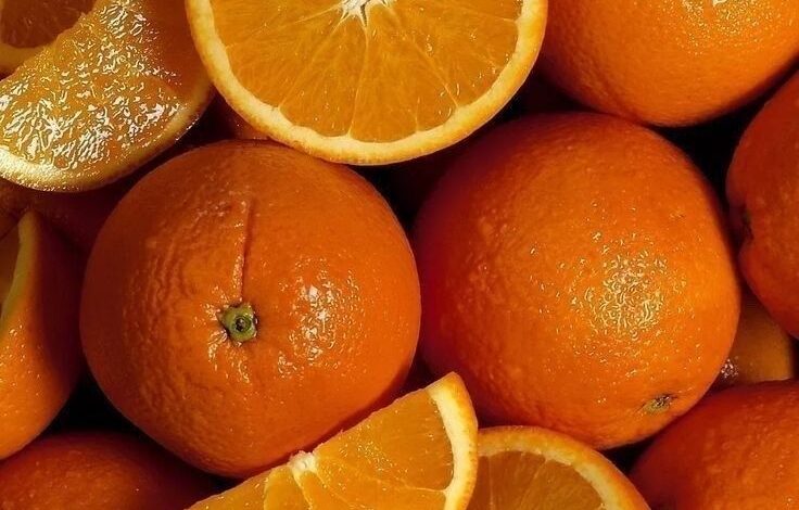 الحمضيات، البرتقال المصري