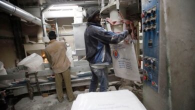 القابضة للصناعات الغذائية