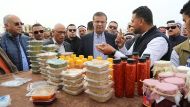 تكويد المزارع فى مصر