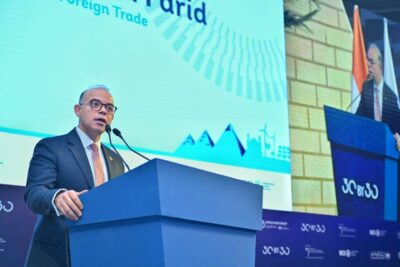 محمد فريد وزير الاستثمار