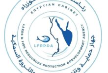 جهاز حماية البحيرات يطلق 15 مليون زريعة سمكية في 11 محافظة 7 634357978 1481579450679137 191851058487000074 n