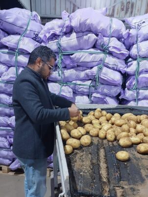 الحجر الزراعي ينظم زيارات مفاجئة لمحطات التعبئة لضمان جودة الصادرات الزراعية