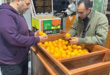 الحجر الزراعي، سلامة الغذاء ،