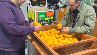 الحجر الزراعي، سلامة الغذاء ،