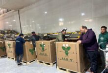 الحجر الزراعي، الصادرات الزراعية المصرية