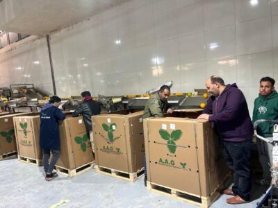 الحجر الزراعي  