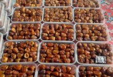 صادرات التمور المصرية، إنتاج التمور في مصر