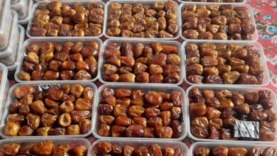 صادرات التمور المصرية