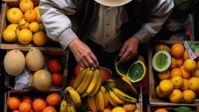أسعار الفاكهه