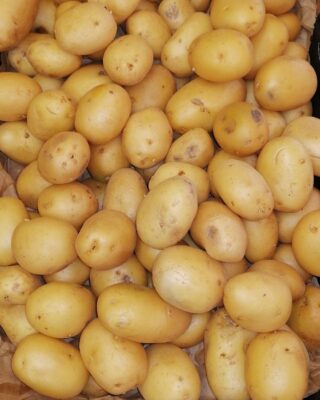 البطاطس المغربية