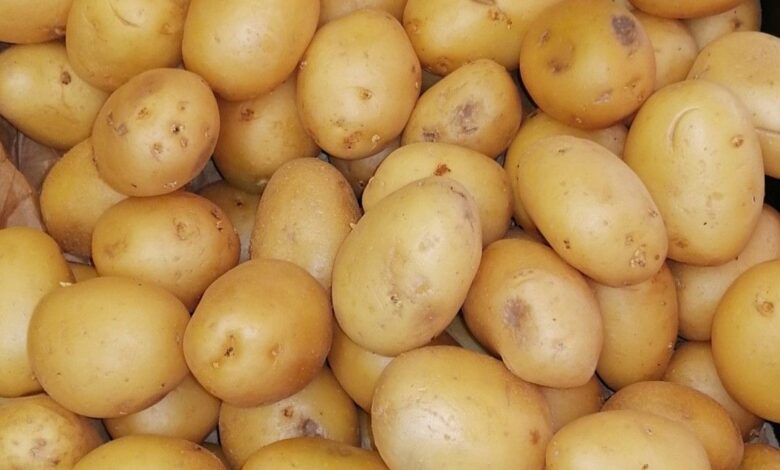 البطاطس المغربية