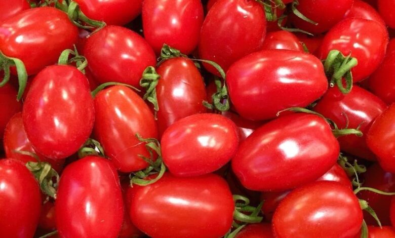 سوق العبور، أسعار الطماطم