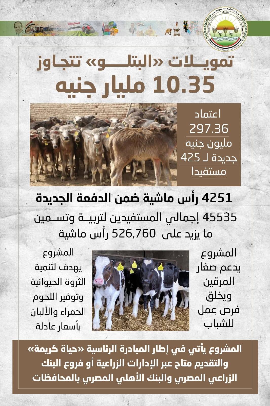 وزير الزراعة يوافق على صرف أكثر من 297 مليون جنيه تمويلاً جديداً للمشروع القومى للبتلو 2 FB IMG 1771149076415