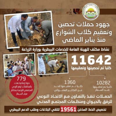 كيف تتعامل مع عضة كلب ضال أو لدغة ثعبان؟ نصائح نقيب البيطريين 2 عضة كلب