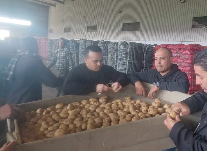 لجنة التفتيش والمتابعة بالحجر الزراعي تكثف من أعمالها بمحطات التعبئة