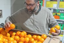 سلامة الغذاء