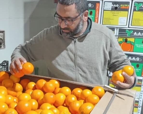 سلامة الغذاء