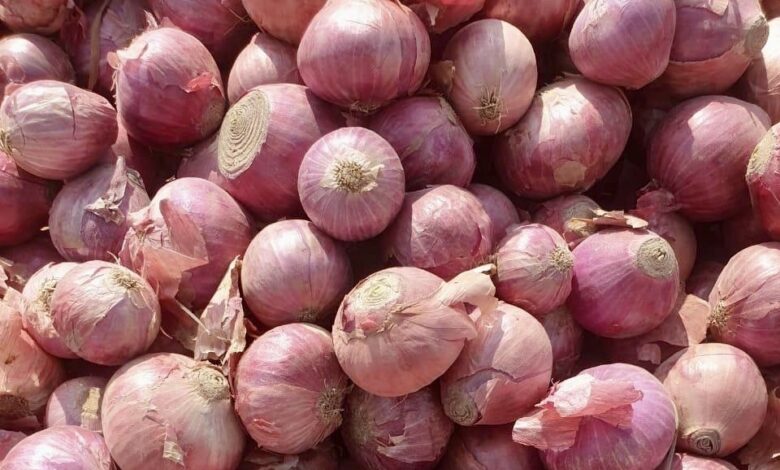 صادرات البصل والثوم