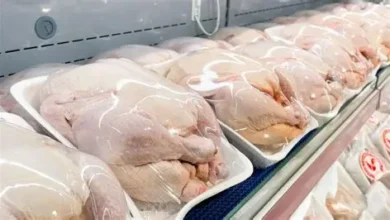 القاهرة للدواجن… الدقهلية للدواجن، أسعار الدواجن