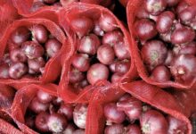 زراعة البصل ، أسعار البصل