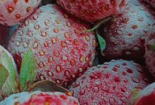 منظومة تكويد الفراولة