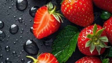 أفضل أنواع الفراولة