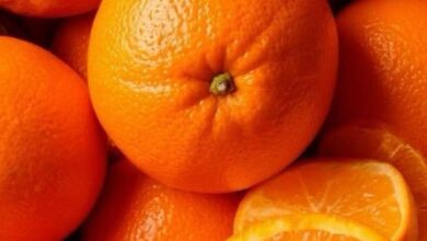 الحمضيات، أسعار اليوسفي