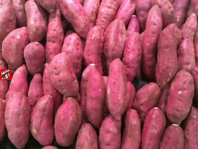 أسعار البطاطا الحلوة، صادرات البطاطا المصرية