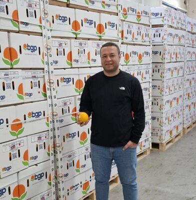 الحمضيات المصرية 