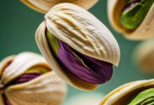 صادرات الفستق