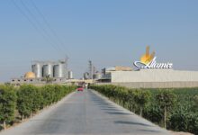 شركة الأمير للحاصلات الزراعية