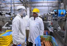 فرونيري آيس كريم مصر