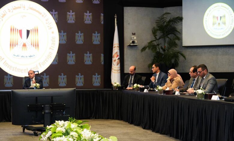 طرق تأسيس الشركات الناشئة في مصر