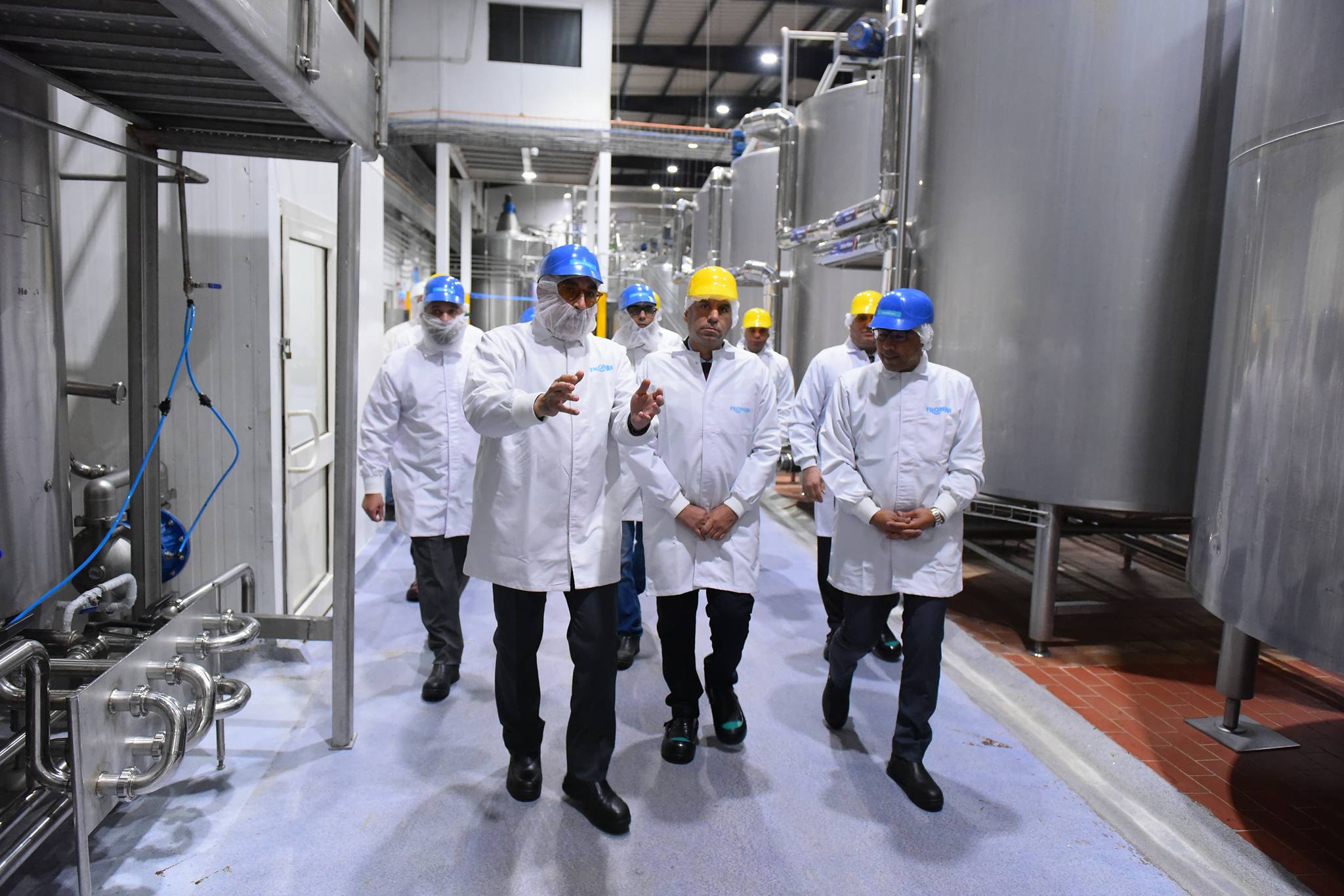  فرونيري آيس كريم مصر 