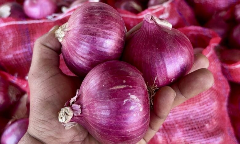 صادرات البصل، البصل الأوروبي