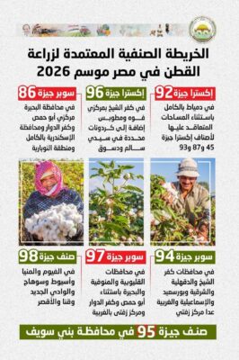  القطن في مصر  