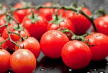 أسعار الطماطم الكرزية