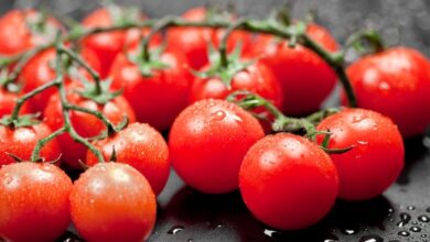 أسعار الطماطم الكرزية