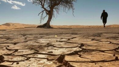 أسرار التراب البشري