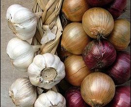 البصل والثوم