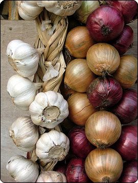 البصل والثوم