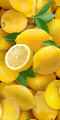 ارتفاع حاد فى أسعار الليمون بالأسواق الأوروبية بسبب نقص المعروض