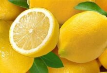 ارتفاع حاد فى أسعار الليمون بالأسواق الأوروبية بسبب نقص المعروض