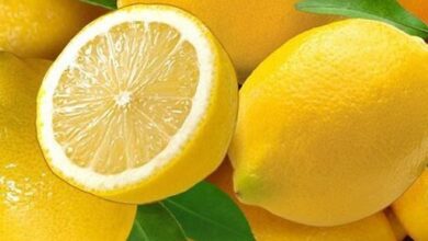 ارتفاع حاد فى أسعار الليمون بالأسواق الأوروبية بسبب نقص المعروض