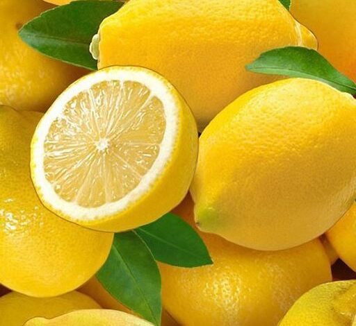 ارتفاع حاد فى أسعار الليمون بالأسواق الأوروبية بسبب نقص المعروض