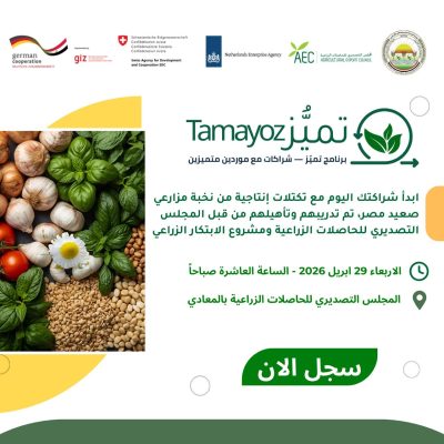 البصل والثوم  