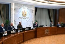 شركة "أركو سيدز" لإنتاج تقاوي الخضر والفاكهة