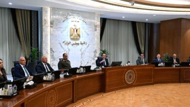 شركة "أركو سيدز" لإنتاج تقاوي الخضر والفاكهة